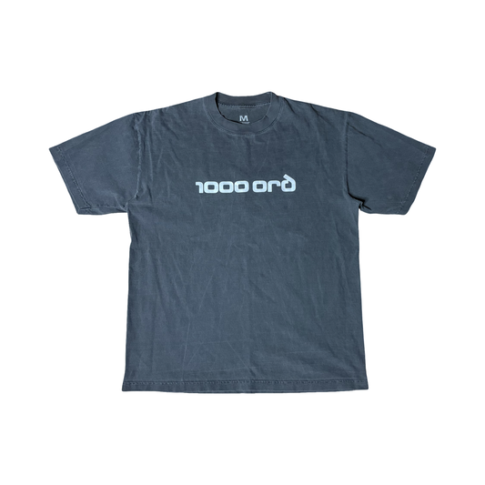 Bríet X Birnir 1000 Orð Merch Tee